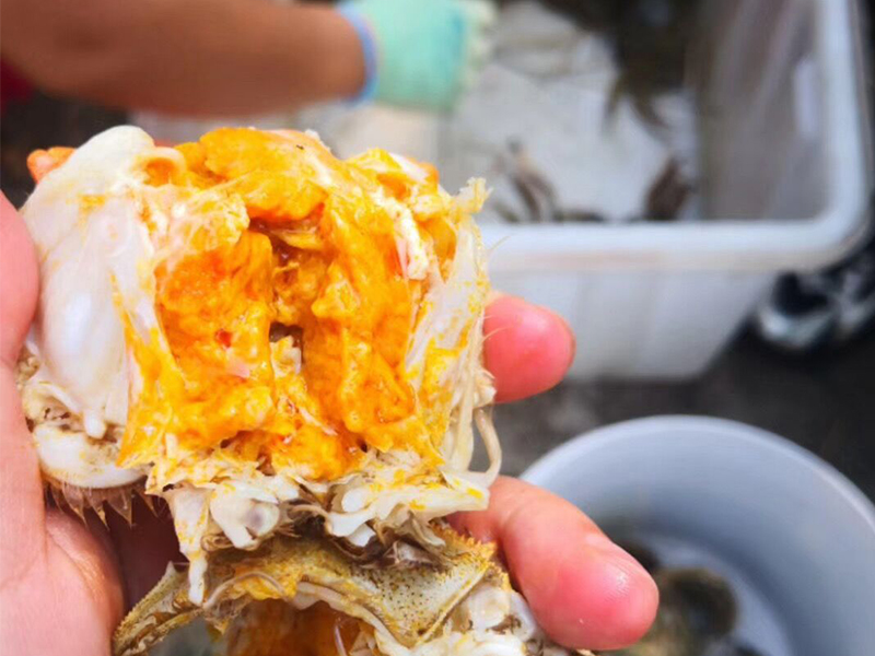 大闸蟹的蟹黄蟹膏吃了会发胖吗？
